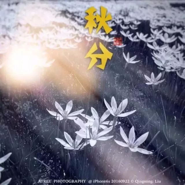 夏至在最短的夜陪你做最长的梦,夏至是白天对你思念最长的一天