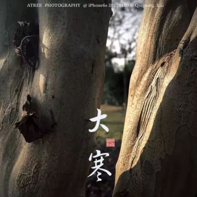 夏至在最短的夜陪你做最长的梦,夏至是白天对你思念最长的一天