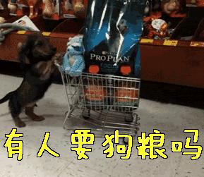 被这个60岁老男人迷得七荤八素，最帅是他一心一意爱妻30年如初恋