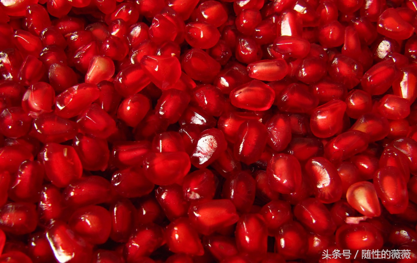 保持年轻的9个秘诀,童颜不老美白秘诀