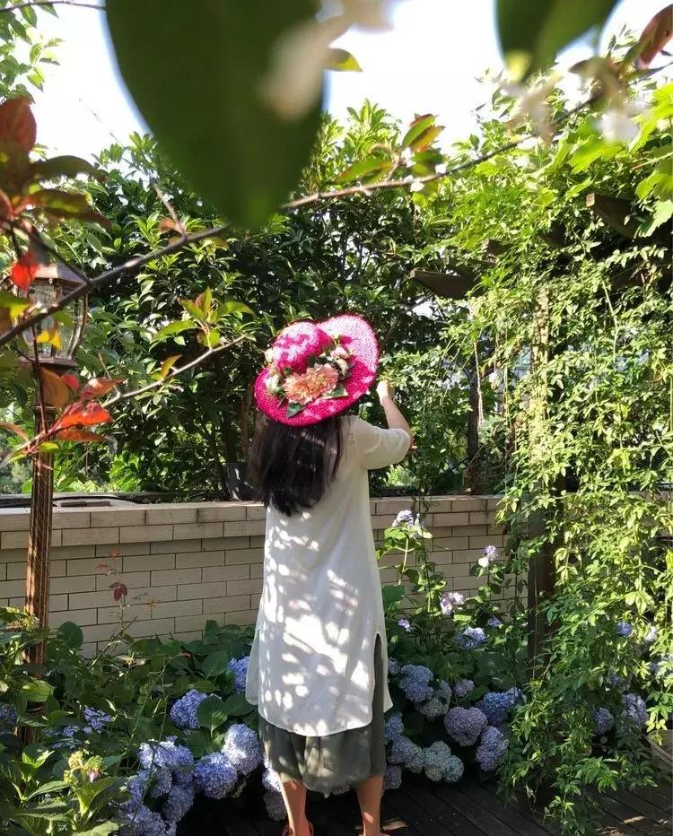 香香的花园自拍杆,香香的花围墙推荐