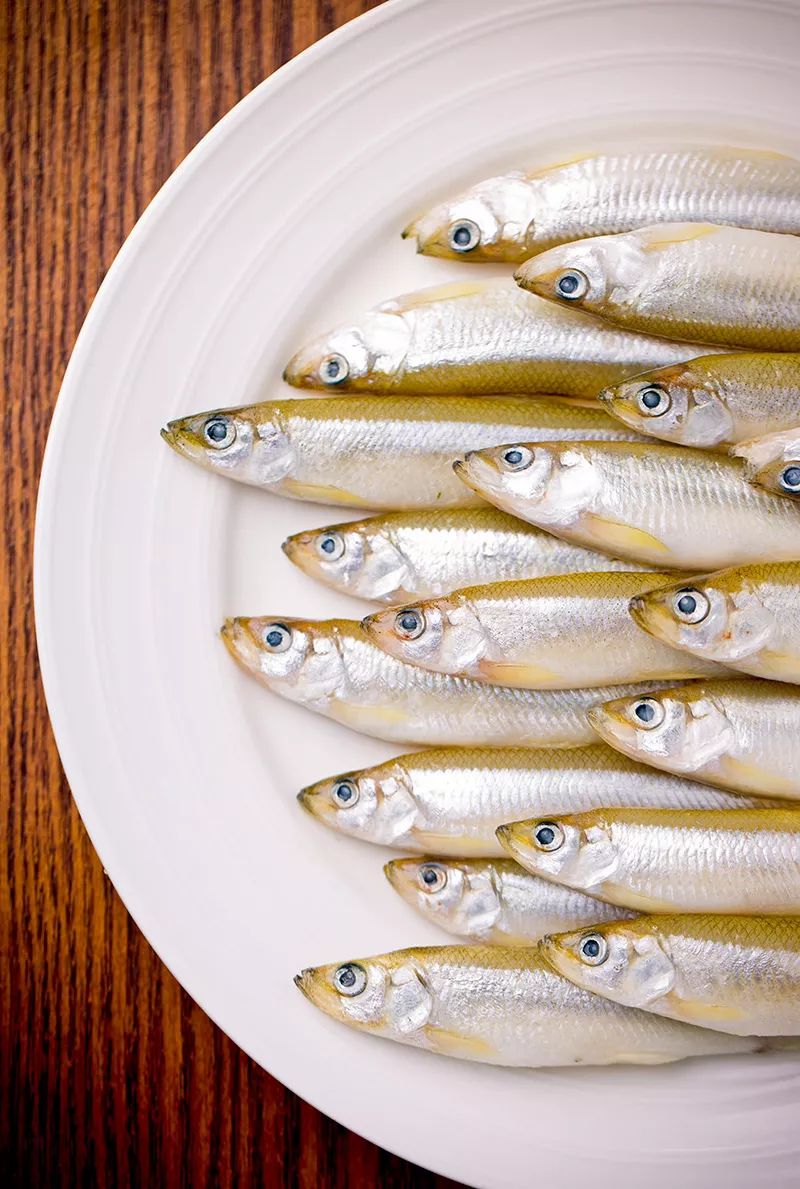 10个干货教你玩转产品摄影,干货分享拍什么视频合适