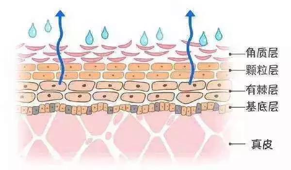 角质层薄泛红红血丝怎么修复,泛红肌肤屏障怎么修复