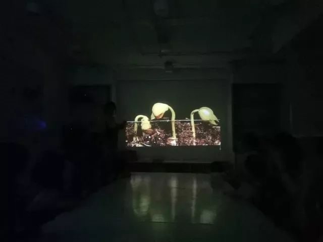 「金宝贝小小陶艺师活动回顾」跟外太空EZ寻觅不一样的烟花