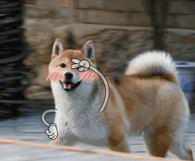 赛罕区分布式光伏项目,赛罕区光伏项目