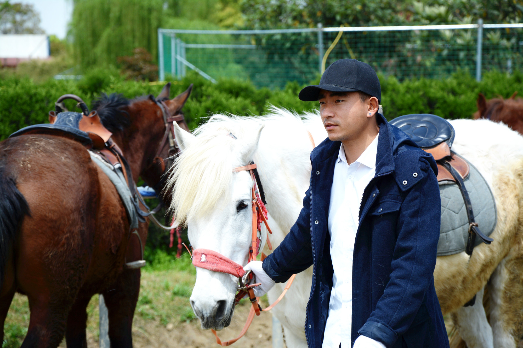 苏州的小桥流水在哪里,苏州比较不错的景点