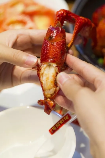 小龙虾征战世界杯,小龙虾与世界杯共狂欢