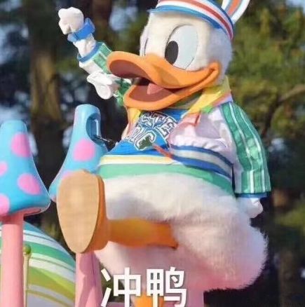 日本国足的太太团,日本足球杯太太团