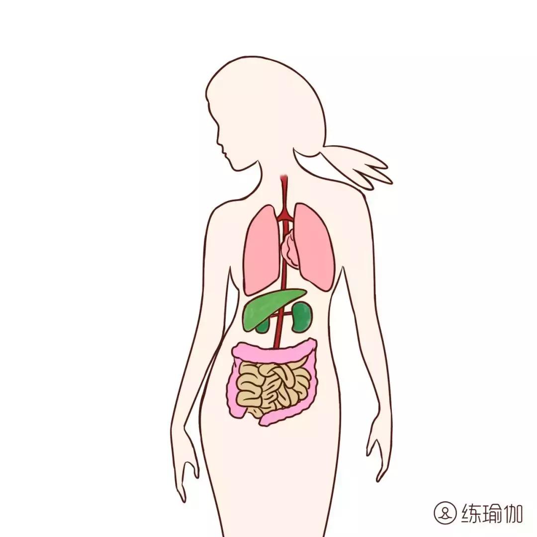 倒立日常训练方法,倒立的技巧注意事项