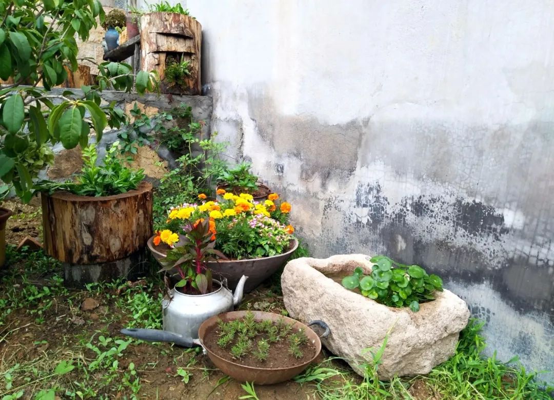 家里摆放凌乱废旧物品,家里的这些旧物别急着扔