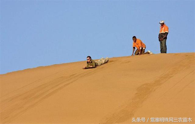 南戴河*哥涛**农家院（成杰宾馆）云烟天外黄金缕，渔火滩头绿酒家！