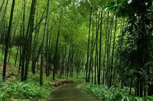 重庆耍事推荐,重庆耍事完整版