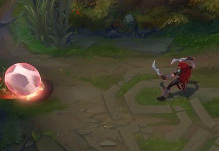 金靴李青,金靴李青多少钱