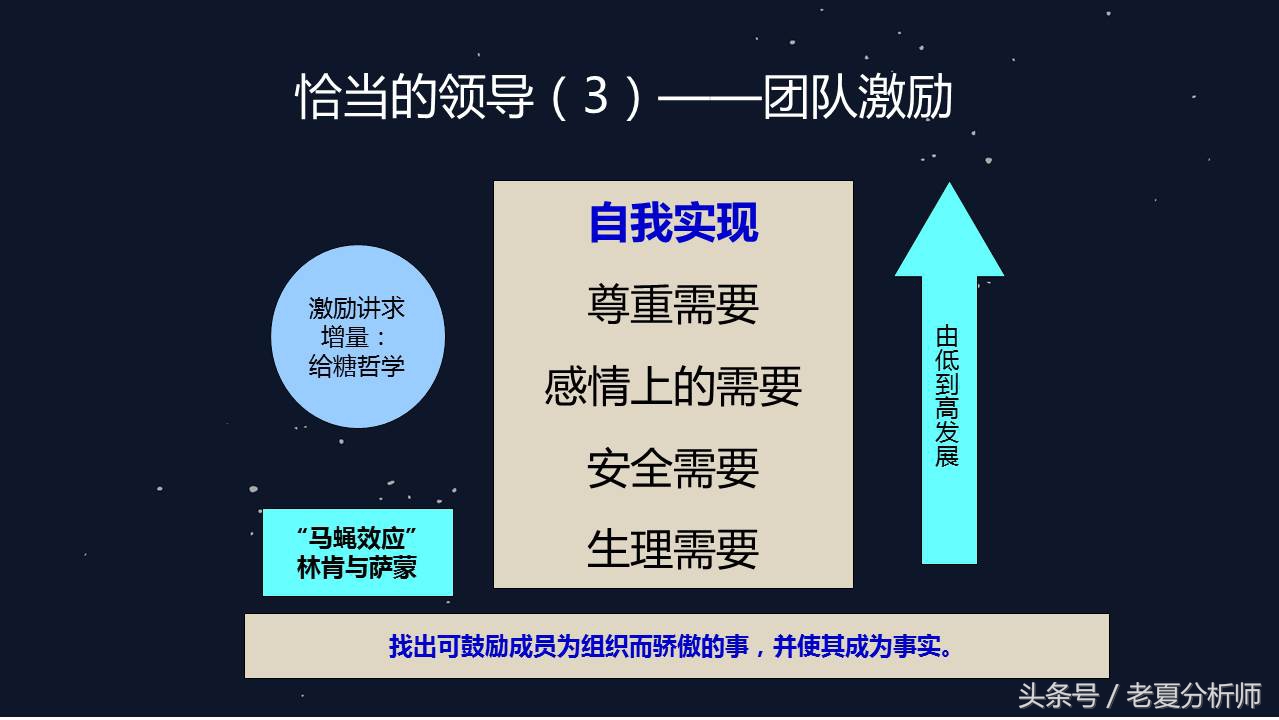 团队建设人才培养与团队管理,团队领导力和团队管理