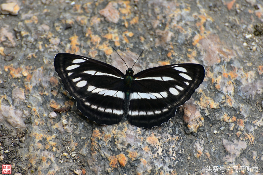 洛阳神灵寨住宿,洛阳神灵寨旅游预约时间