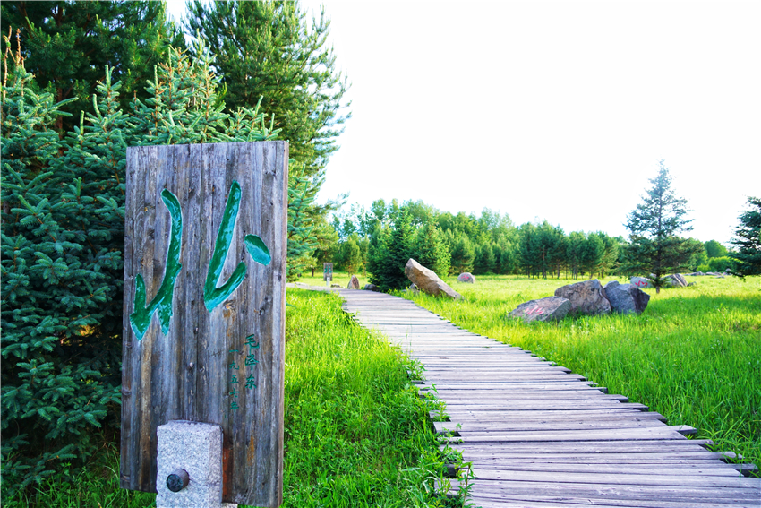 漠河北极村之旅,来到祖国最北端漠河北极村