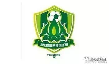 王栋中超足球队,王栋足球运动员