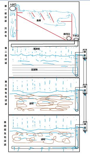 内蒙古阳台锦鲤鱼池,自制锦鲤观赏鱼池