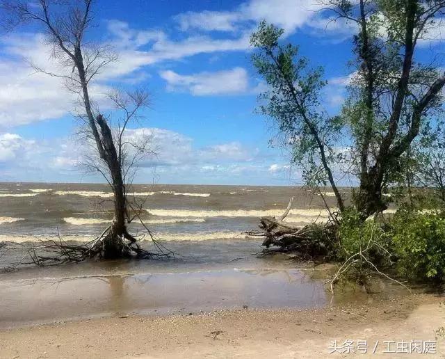 对于裸体日光浴你怎么看？你曾经尝试过吗？