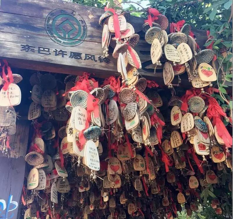 看了照片，我3秒钟就决定要去丽江！