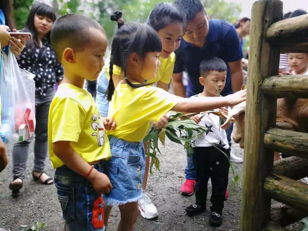 “回趣童真，weare伐木累”乔森驾校亲子活动