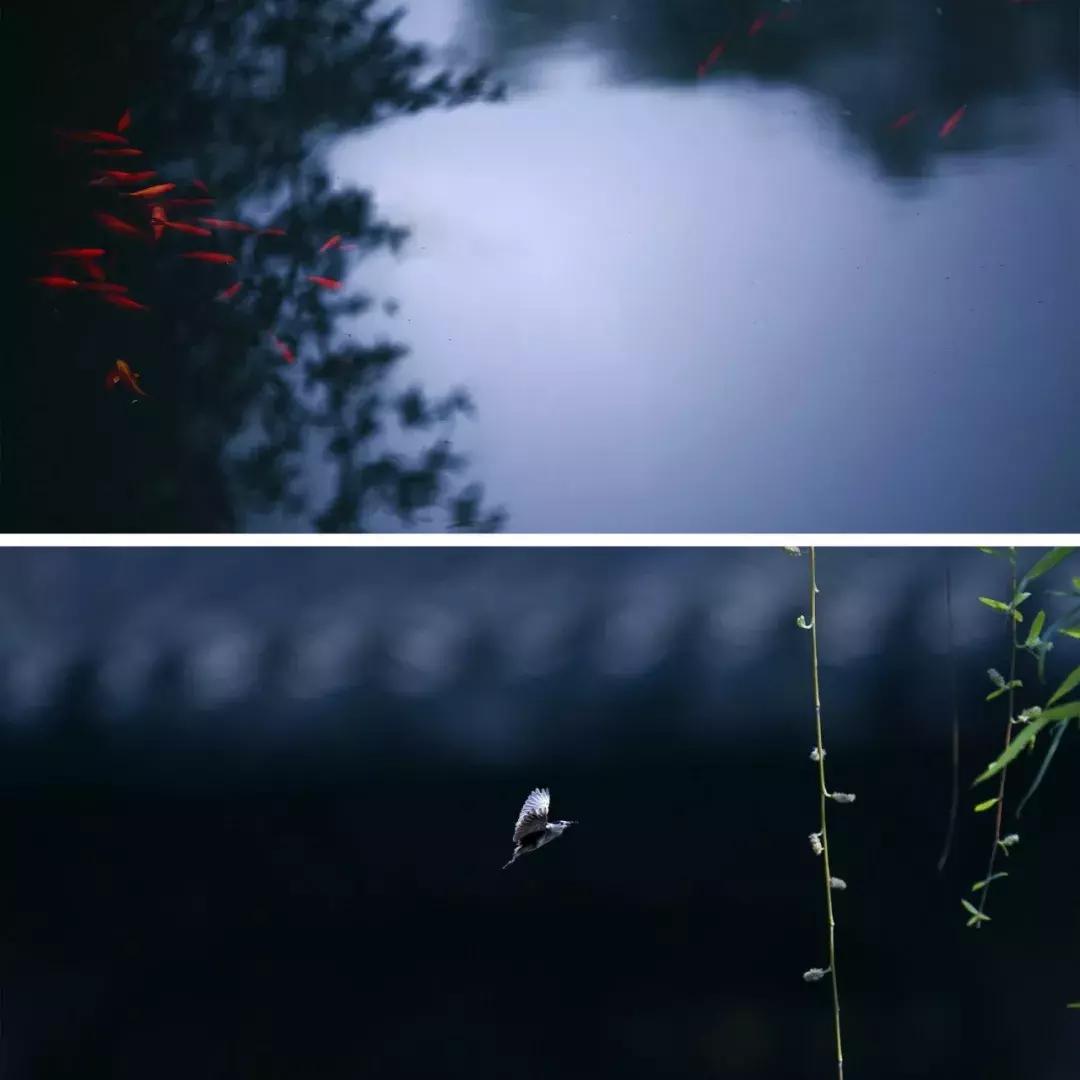 心若安怡万般自在,心若安然处处静美