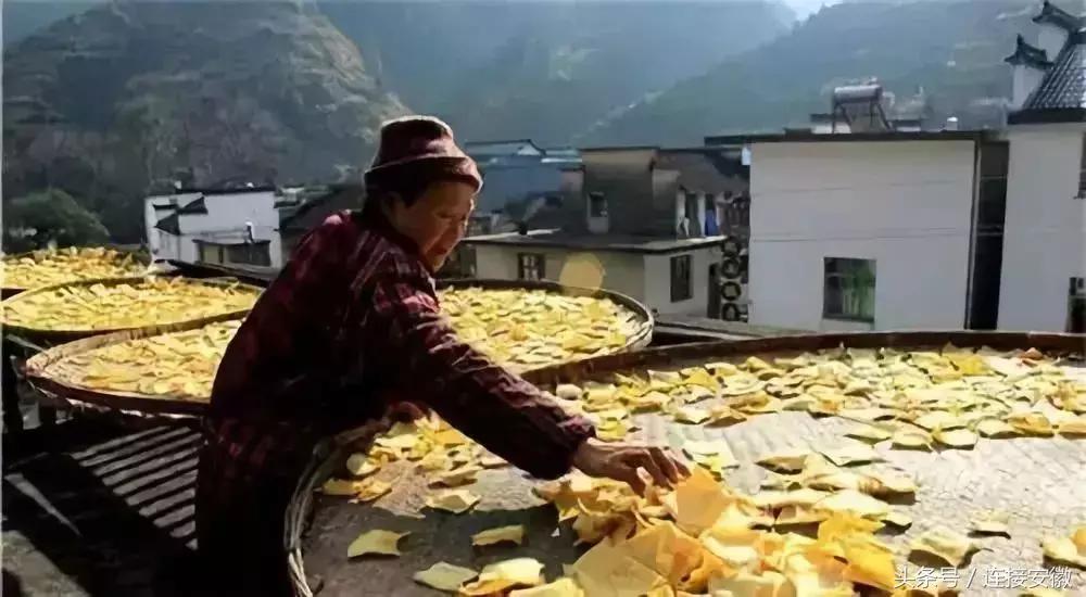 安徽这座城市被评为十大魅力城市,安徽最受重视的县