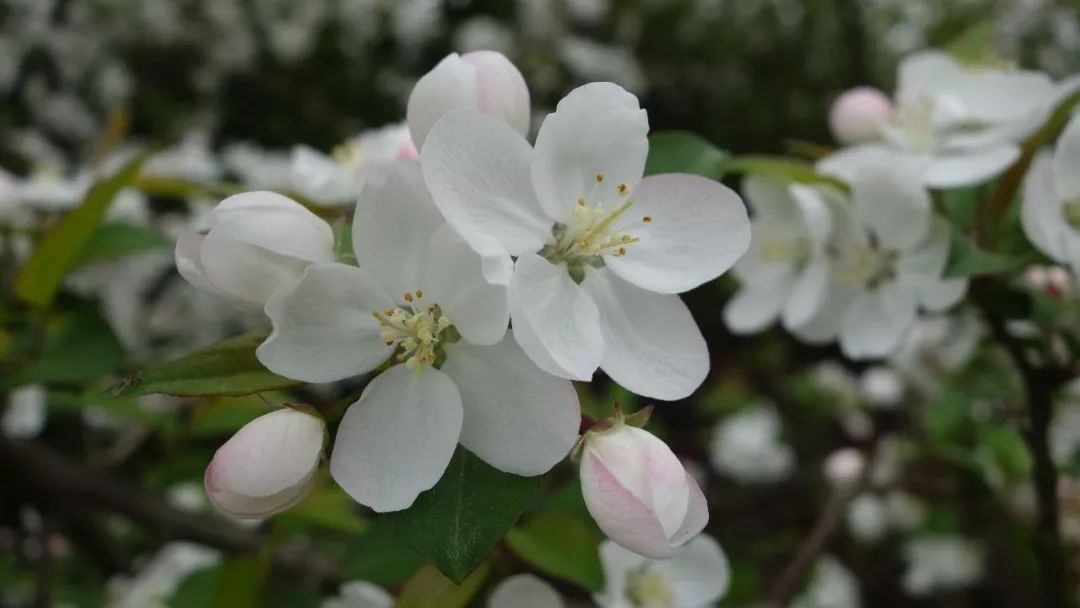 时光游合肥,时光旅行图集