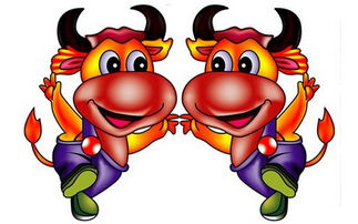 十二生肖男虎女龙配婚姻好吗,十二生肖之鸡配什么属相最好