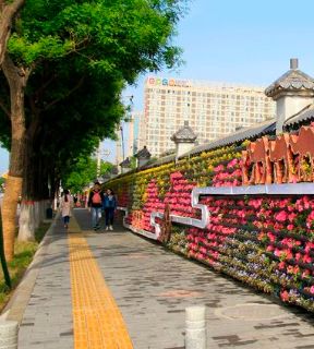 为美丽的南阳打call,为美丽西安加油