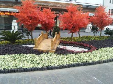 为美丽的南阳打call,为美丽西安加油