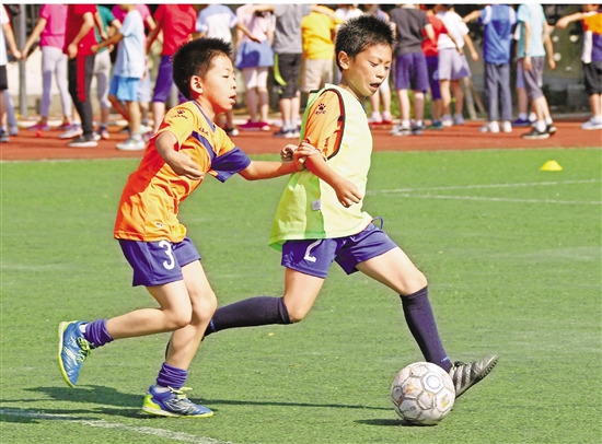 洋教练里皮,洋教练直播