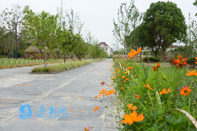 精准对标取“真经”！泗阳*党**政代表团赴兴化宝应考察学习