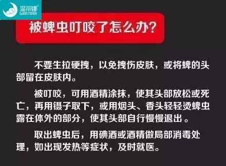 夏季蜱虫病进入高发期,夏季蜱虫多吗