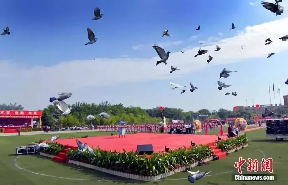 华东师大艺术体育类分数线,广西艺术体育类录取分数线