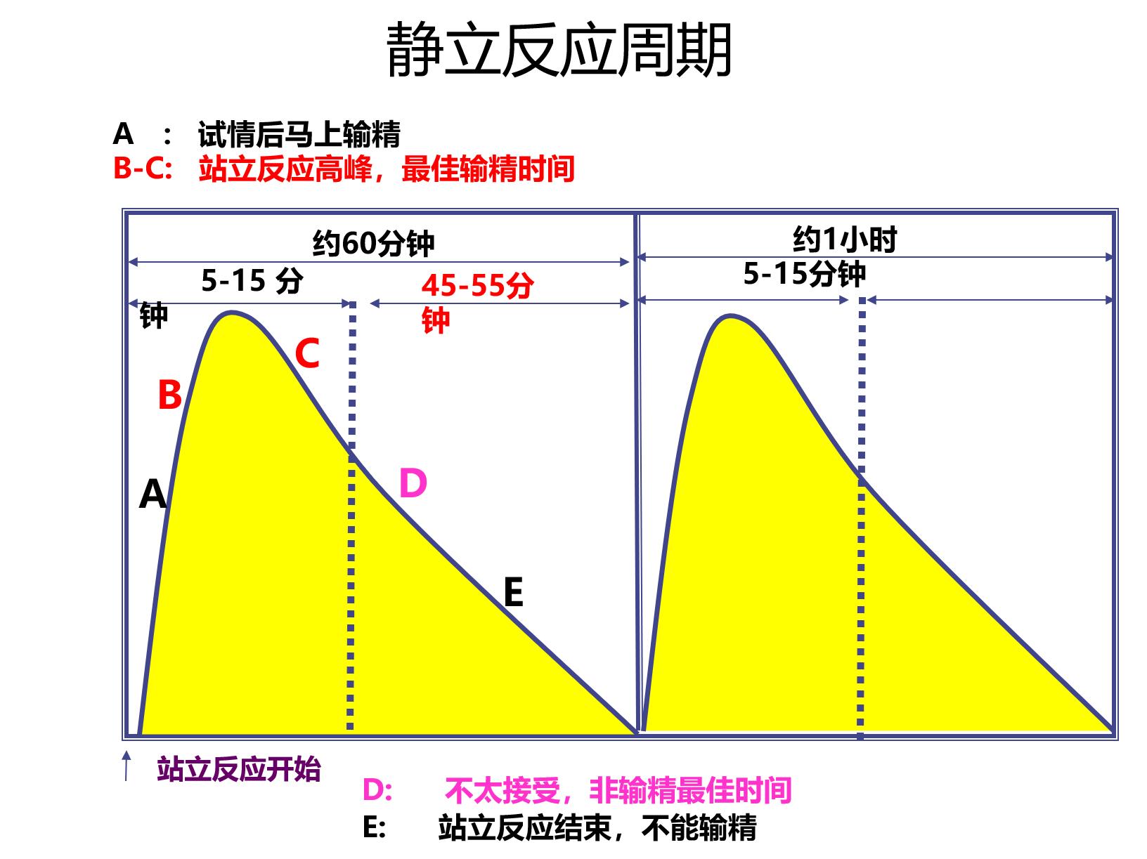 两张图教你学会把握母猪最佳配种时间，提高母猪产仔数！