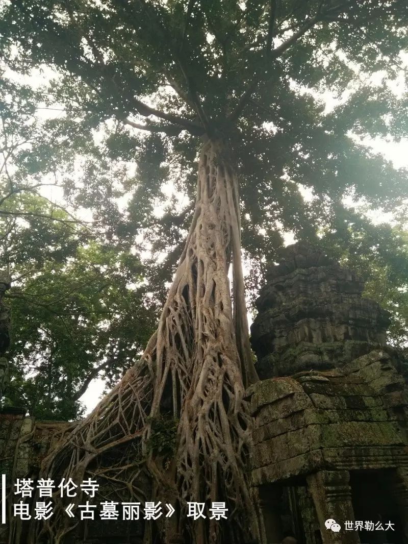 柬埔寨暹粒吴哥窟游记,柬埔寨旅行记2018