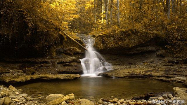 宁愿简简单单也不愿意随随便便,爱可以简简单单但不能悄无声息