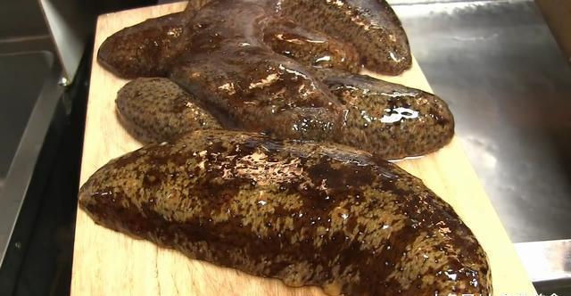 去日本旅游,花2000买了5头肥海参,做成菜后都快哭了!