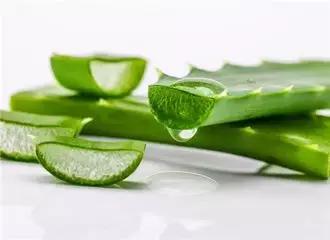 被毒性大的蚊子咬了怎么办,被蚊子咬了不要抓会怎么样