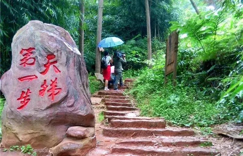 重庆最美爱情,重庆最感人的爱情