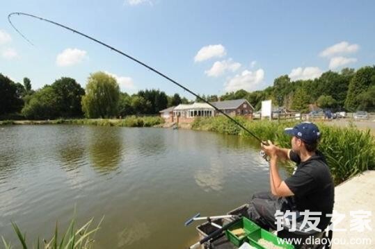 抛竿钓鲢鳙钓组大肚漂与铅怎么配,抛竿乌青钓组视频教学