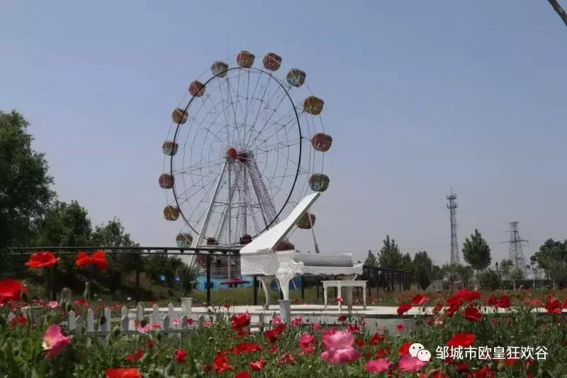 欧皇狂欢谷景区在邹城哪里,邹城市青少年夏令营