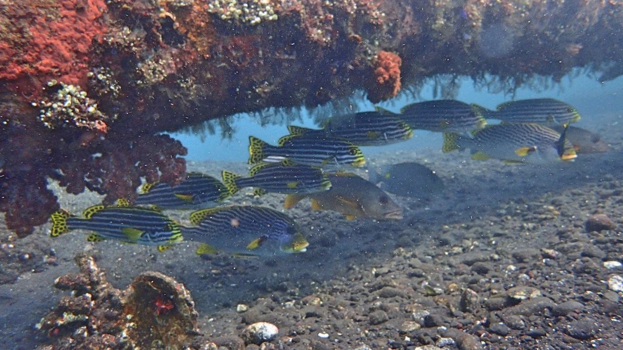 宸村帢宀涘浘鍏板娼滄按浜嬩欢,宸村帢宀涘浘鍏板娼滄按鏀荤暐