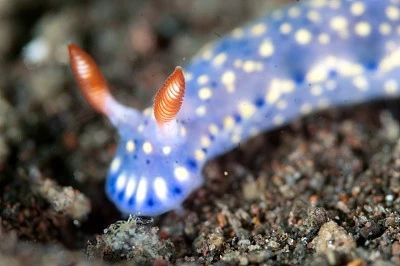 宸村帢宀涘浘鍏板娼滄按浜嬩欢,宸村帢宀涘浘鍏板娼滄按鏀荤暐