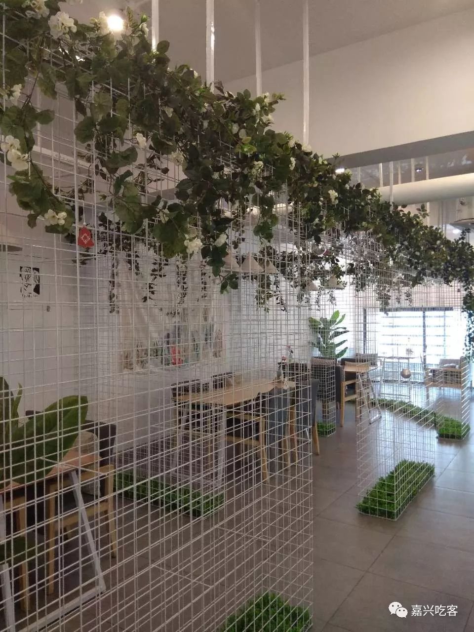 网友说｜这家店太美~已经控制不住自己的手机了