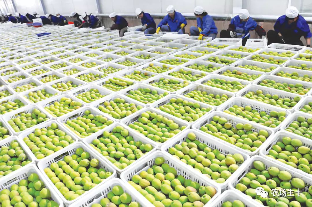 农村建冷库国家补贴政策,想在农村建个冷库需要什么手续