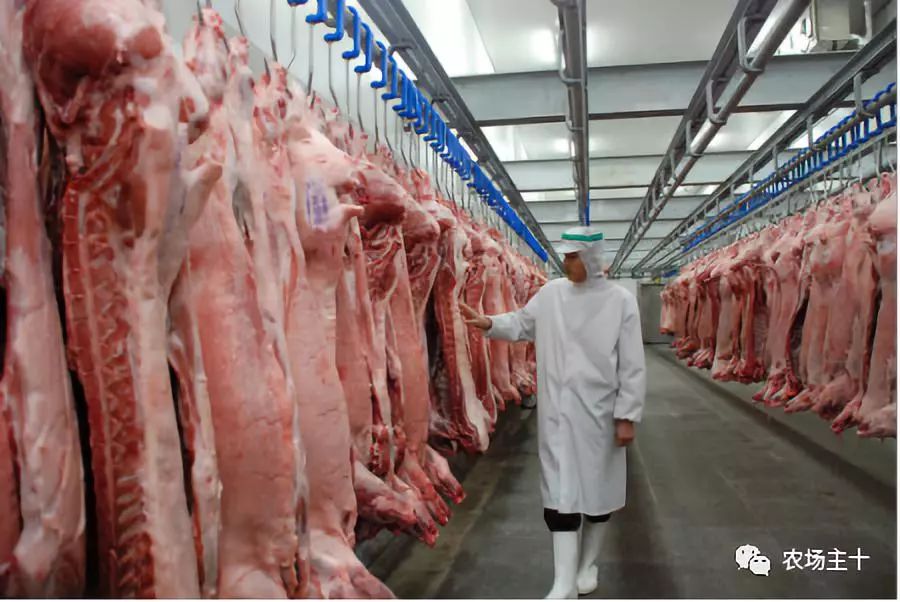 我想在农村建个冷库有前景吗,想在农村建个冷库