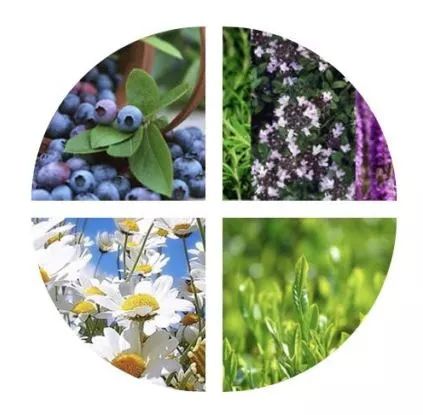 PP、腋下、手肘、三角区发黑暗沉？日本女*爱性**用好物，抹一抹，4周白嫩如少女！