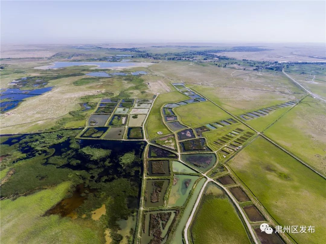 太迷人了！肃州区的这幅生态画卷越绘越美丽！